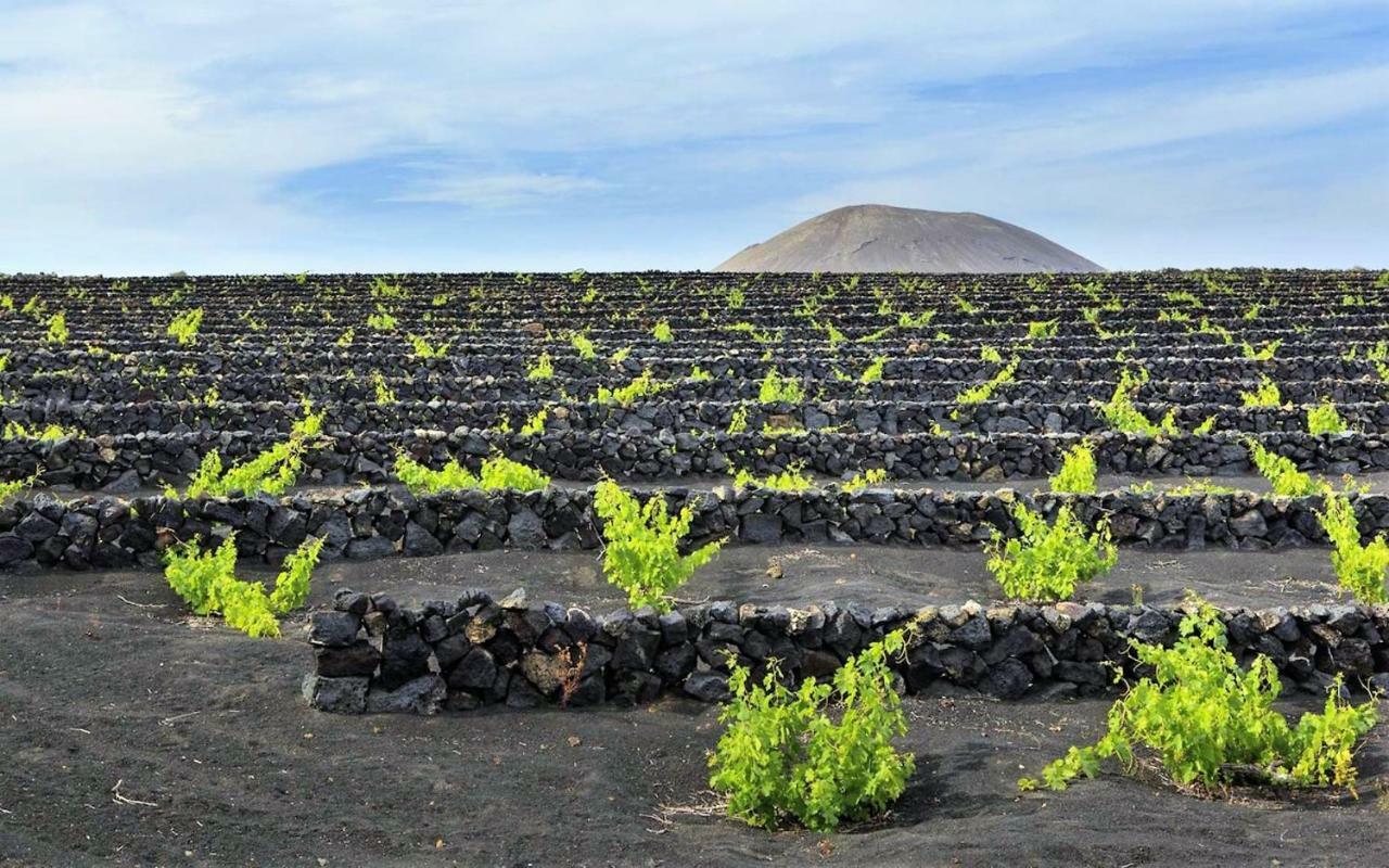 Villa Carmen Lanzarote Коста-Тегисе Экстерьер фото